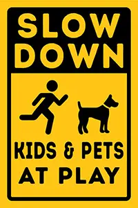 Slow Down Kids at Play Neighborhood Signs